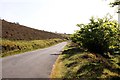 SS8446 : The Porlock Toll Road near Westcott Brake by Steve Daniels