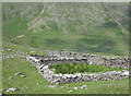 NY2313 : Sheepfold above Honister Pass by Trevor Littlewood