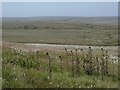 SE0705 : Outlook over expanse of moorland by Andrew Hill