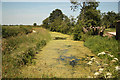 SK7329 : Grantham Canal by Richard Croft