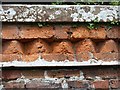 NT6424 : A wall detail at Monteviot House Gardens by Walter Baxter