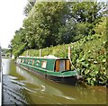 TQ7353 : Narrowboat at East Farleigh by Paul Gillett