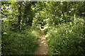 SJ8207 : Monarch's Way by Richard Croft