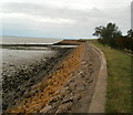 ST3782 : A view to the SW along the sea wall at Goldcliff by Jaggery