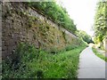 SJ9594 : Trans Pennine Trail by Gerald England