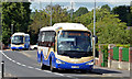 J1953 : Two Goldline coaches, Dromore (2013-1) by Albert Bridge