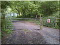 ST6055 : Permissive Bridleway in Chewton Wood by James Ayres