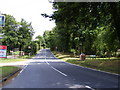 TM3067 : A1120 Carrs Hill, Badingham by Geographer