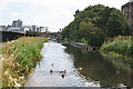 NT2472 : Union Canal by Anne Burgess