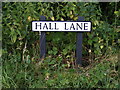 TM3083 : Hall Lane sign by Geographer