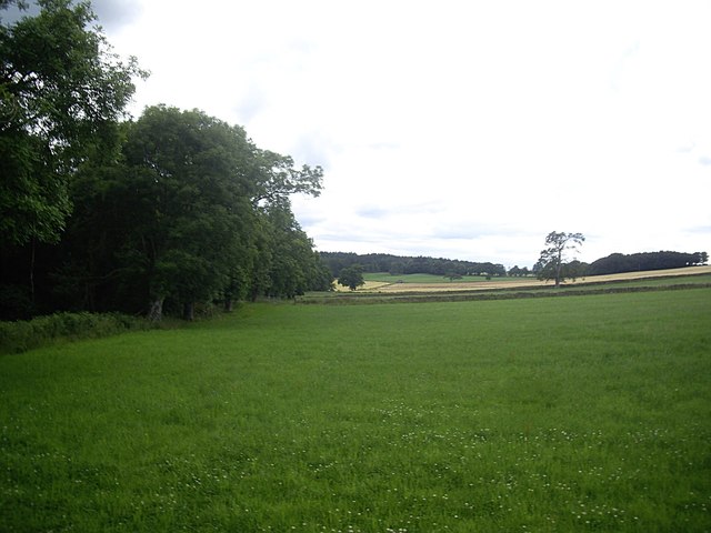 NW edge of Baldarroch Wood