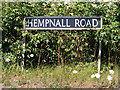 TM2893 : Hempnall Road sign by Geographer