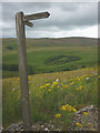 SD8394 : Fingerpost in the 'forest', Cotterdale East by Karl and Ali