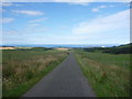  : Rural East Lothian : Down The Hill To Elmscleugh by Richard West