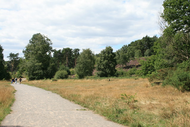 Oxshott Heath