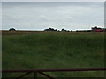  : Harvesting near Roughton House by JThomas