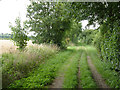 SK8633 : Harlaxton Quarries railway trackbed by Alan Murray-Rust