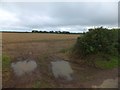 SS6803 : A muddy gateway near Westworthy Cross by David Smith