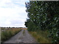 TM3269 : Footpath to the former Badingham Hall, Punchard's Farm & Wood Farm by Geographer