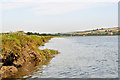 SS5333 : Erosion on the southern bank of the River Taw just downstream from Barnstaple by Roger A Smith