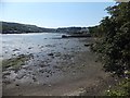 SX5053 : Hooe Lake by David Smith