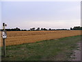 TM1083 : Footpath to Lodge Lane by Geographer