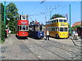 TM5090 : Trams and Trolleybus at the East Anglia Transport Museum by David Hillas