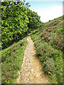 SE8391 : Dundale Griff Footpath by Scott Robinson