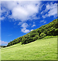 SE8492 : Blue Skies Horcum Slack by Scott Robinson