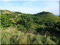 TR2238 : Sugarloaf Hill from the North Downs Way by Marathon