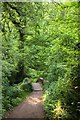 SS8945 : Footpath to Horner packhorse bridge by Steve Daniels