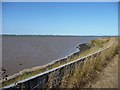 TG4906 : Shallow water covering Breydon South Flats by Christine Johnstone