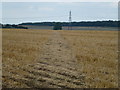 TL1480 : Footpath through the stubble by Richard Humphrey