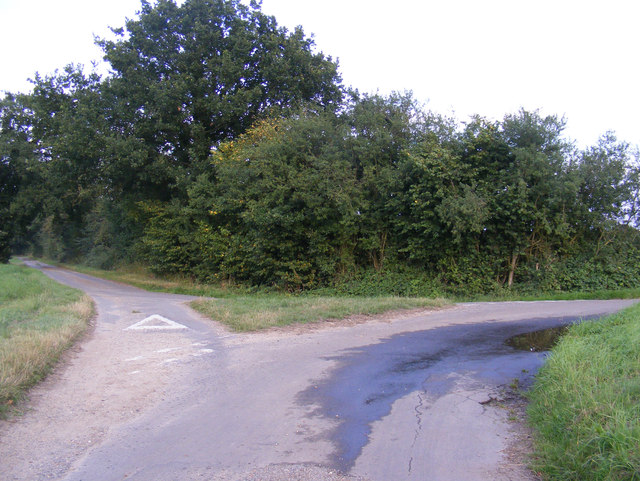 Darrow Lane, Bressingham Common