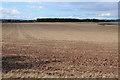  : Large arable field at Hampton Lovett by Philip Halling