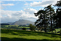 SH8734 : Pasture beside larch trees by Trevor Littlewood