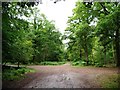 SO6212 : Tracks crossing in the inclosure by Christine Johnstone