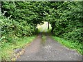 SO3305 : Steep access track, north of the Nant-y-derry road by Christine Johnstone