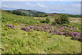 SN9564 : Upland near Pen-y-rhiw by Philip Halling