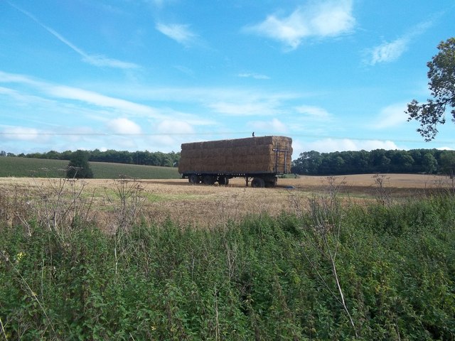 Trailer of Straw Bales near Norbury