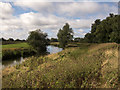 TL4871 : River Great Ouse by Chear Fen by Kim Fyson