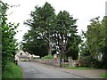 ST3398 : Large trees in the churchyard, Coed-y-paen by Christine Johnstone