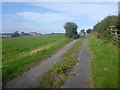 NZ1608 : Warrener Lane, a road returning to nature by Andy Waddington