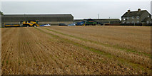  : Pond Dale - carbohydrate farm by Andy Waddington