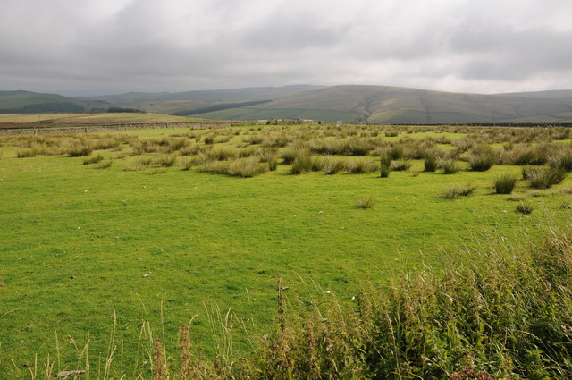 Upland grazing at The Laches