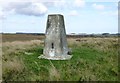  : Trig point on Eglingham Moor by Russel Wills