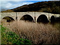 SO5819 : Kerne Bridge viewed from the Goodrich side by Jaggery