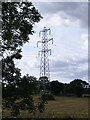 TG2505 : Electricity Pylon off the B1332 Bungay Road by Geographer