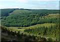 SN8055 : Tywi forest and Cwm Tywi, Powys by Roger  D Kidd