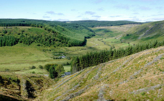 Tywi forest and Cwm Tywi, Powys